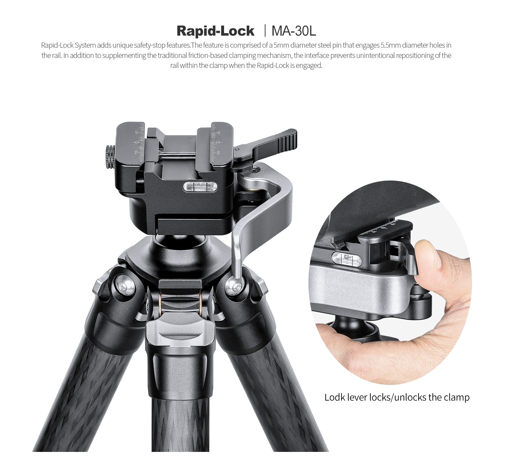 Leofoto SA-324C Carbon Fiber Tripod with MA-30L Ball Head showing the Rapid-Lock mechanism for secure adjustments.